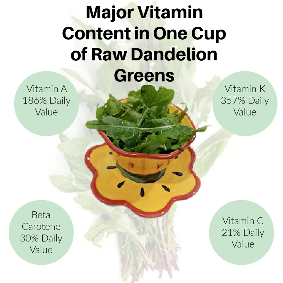 Vitamin Content in One Cup of Dandelion Greens