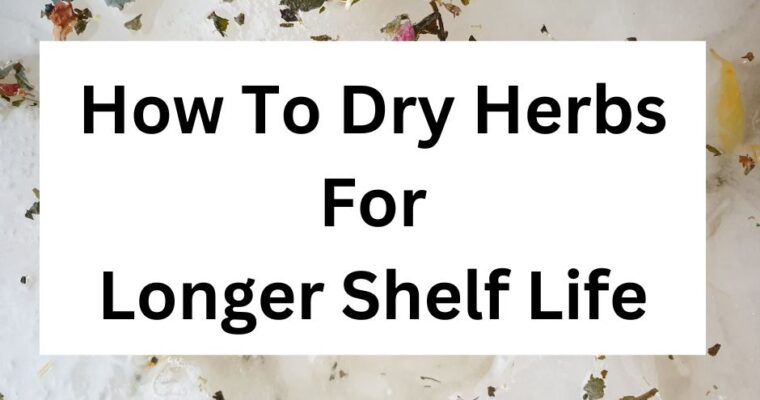 How To Dry Herbs For Longer Shelf Life