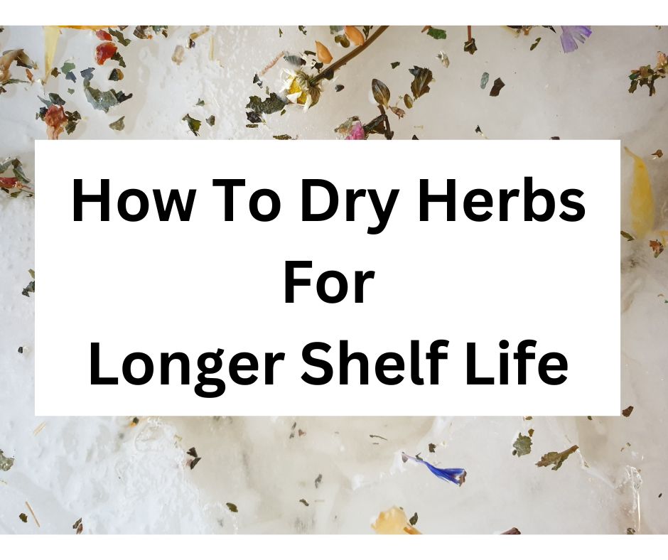 How To Dry Herbs For Longer Shelf Life